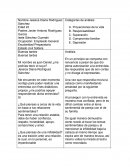 Carpetas Categorías de análisis