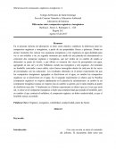 Diferencias entre compuestos orgánicos e inorgánicos