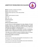 Perfil del proyecto de inversión (nuevo producto)