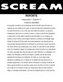 REPORTE Criaturas celestiales
