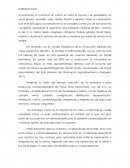 Trabajo de residencia arq