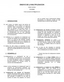 ENSAYO DE LA MULTIPLEXACION