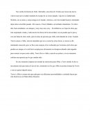 Maravilloso desastre resumén