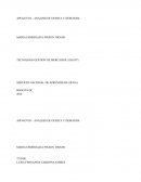 Profesional en Gerencia en mercadeo