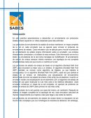 PRÁCTICA DE PROTOCOLOS VECTOR-DISTANCIA