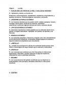 CUALES SON LAS CAPAS DE LA PIEL Y CUAL ES SU FUNCION?