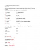 Sistema gastrointestinal y digestivo