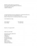 ANALISIS SOCIOEDUCATIVO DE FORMACION Y CONCIENTIZACIÓN EN EL PLANTEL EDUCATIVO JUAN CRISOSTOMO FALCÓN