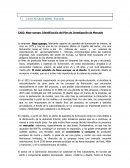 CASO Near-europe: Identificación del Plan de Investigación de Mercado