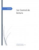 El ser humano, la sociedad, la cultura y el derecho: Una perspectiva general