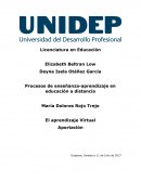 Procesos de enseñanza-aprendizaje en educación a distancia