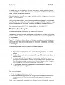 De donde viene el bilingüismo. Pensamiento y Lenguaje