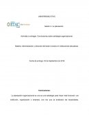 Actividad a entregar: Conclusiones sobre estrategia organizacional.