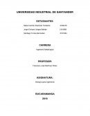 Steve jobs con vision a la ingenieria