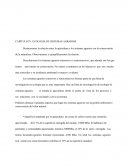 Bases ecológicas de los sitemas agrarios