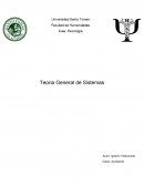Trabajo basico Teoría general de sistemas