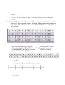 Trabajo colaborativo Actividad