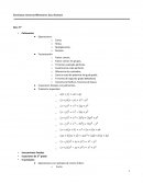 Contenidos Especificos Ciclo Superior