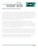 Primera entrega metodologia distribucion de plantas