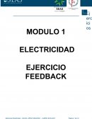 EJERCICIO FEEDBACK ELECTRICIDAD SEAS