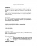 Actividad. Formado de láminas