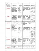 Ensayo de la relación del estudio de la literatura en la formación del joven bachiller vinculándolo a su contexto social