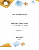 Accion psicosocial, contexto juridico Tarea