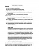 VOLCAN QUIMICO EN MINIATURA