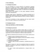 Plan de Marketing actividad