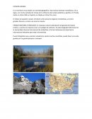 TRABAJO SOCIALES CONSUELO