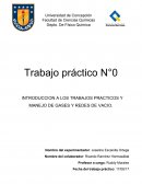 Manejo de gases y redes de vacio