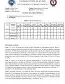 Pruebas Bioquímicas TSI y CATALASA