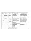 Eras geologicas-estructuras en america