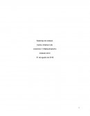 Sistemas de costeos. COSTOS Y PRESUPUESTO