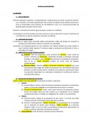 Accion y Contradicción actividad