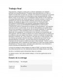 Trabajo sobre el Guarani