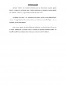 Lactancia materna ensayo