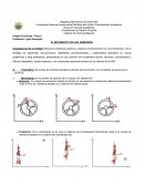 Movimiento en una dimension ensayo