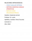 RELACIONES INFRAHIOIDEAS