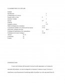 EL MARKETING E EL ENVASE