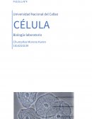 Célula Biología-laboratorio