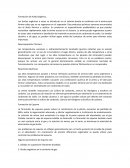 Formación de Ácido orgánico