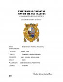 Distrito de Santa Anita: Historia, Potencialidades y Vulnerabilidades