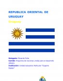 Programa de naciones unidas para el desarrollo (PNUD)