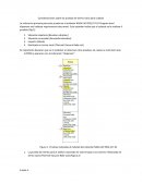 Procedimiento diseño carga util