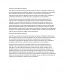 Conclusión. (Abad Damián Castrejón)