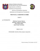 PRÁCTICA No. 8: ADSORCIÓN DE GIBBS