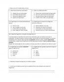 El hipocampo ¿Qué título le pondrías a este texto?