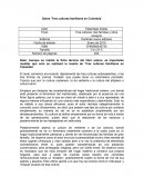 Sobre 'Tres culturas familiares colombianas'