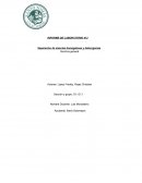 Informe Separación de mezclas homogéneas y heterogenias